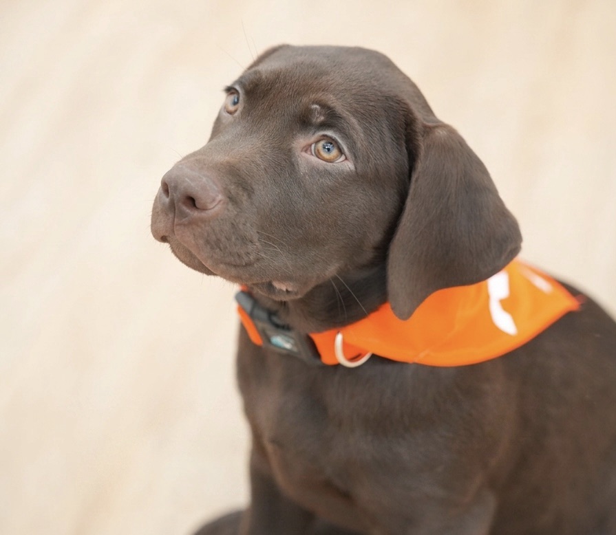 Implementan innovador método de canoterapia para ayudar a víctimas de violencia en&nbsp;Barcelona