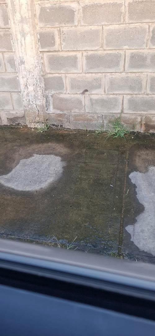 Repararán bote de agua en calle de Lechería tras&nbsp;denuncia
