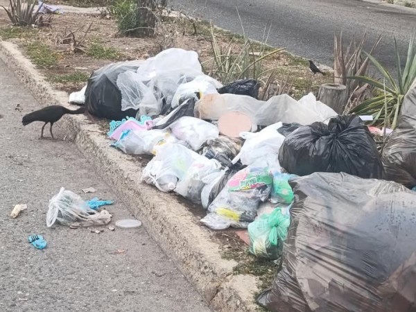 Vecinos de la Fundación Mendoza reportan que el camión del aseo urbano tiene tres días sin&nbsp;pasar