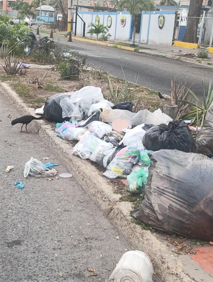 Vecinos de la Fundación Mendoza reportan que el camión del aseo urbano tiene tres días sin&nbsp;pasar