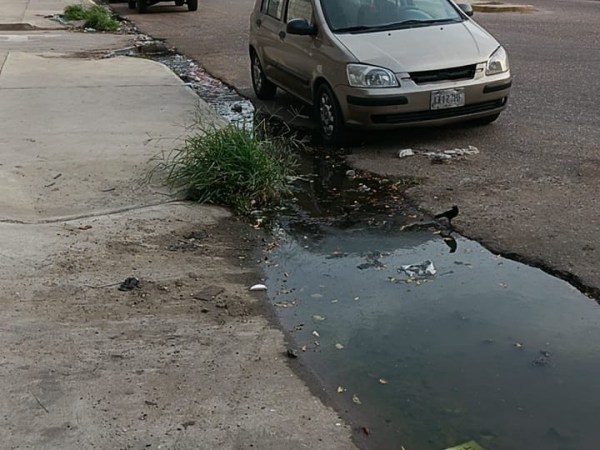 Vecinos de Maguey Sur denuncian foco de insalubridad por desbordamiento de aguas&nbsp;servidas