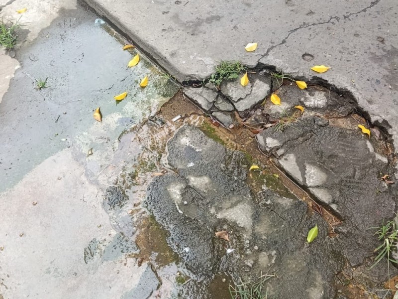 Denuncia que Bote de Agua en la Avenida Municipal ya tiene un Año Sin&nbsp;Reparaciones