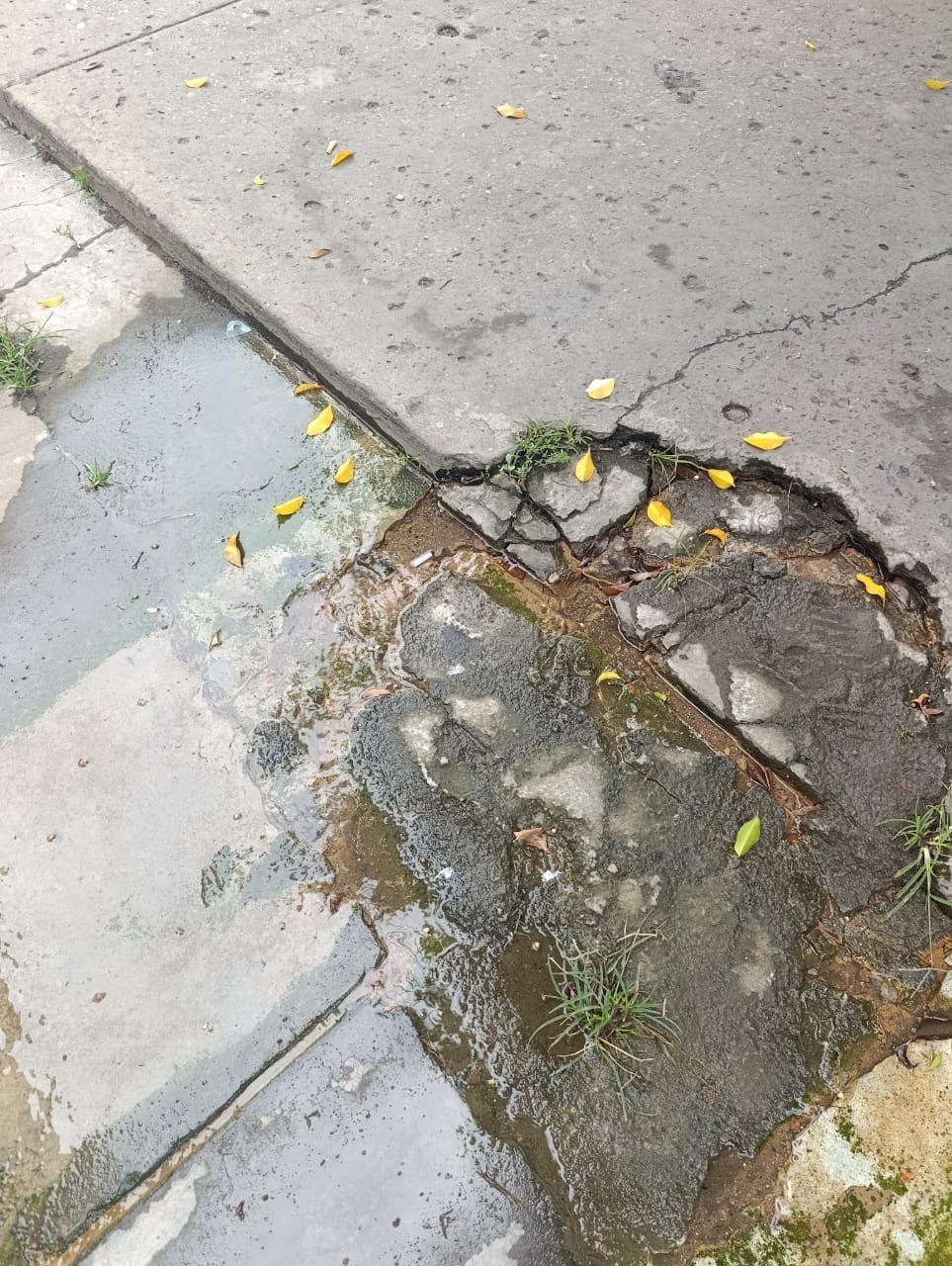 Denuncia que Bote de Agua en la Avenida Municipal ya tiene un Año Sin Reparaciones