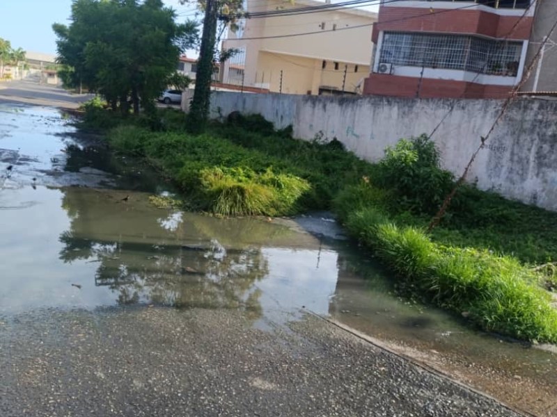 Habitantes de la urbanización Río de Barcelona denuncian crisis por desborde de aguas servidas desde hace una&nbsp;década