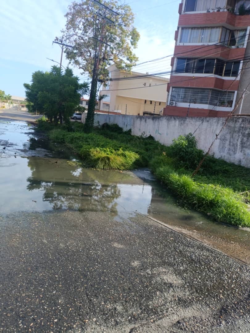 Habitantes de la urbanización Río de Barcelona denuncian crisis por desborde de aguas servidas desde hace una&nbsp;década