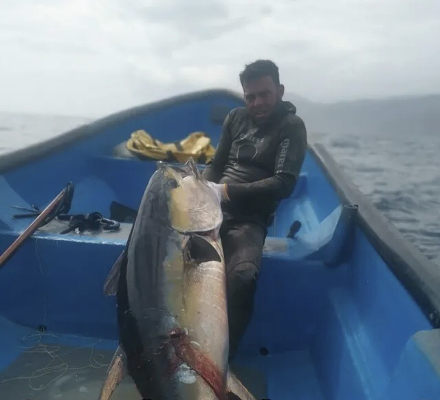 Pescador submarino capturó «a puro pulmón» un atún de casi 100 kilos en La Guaira