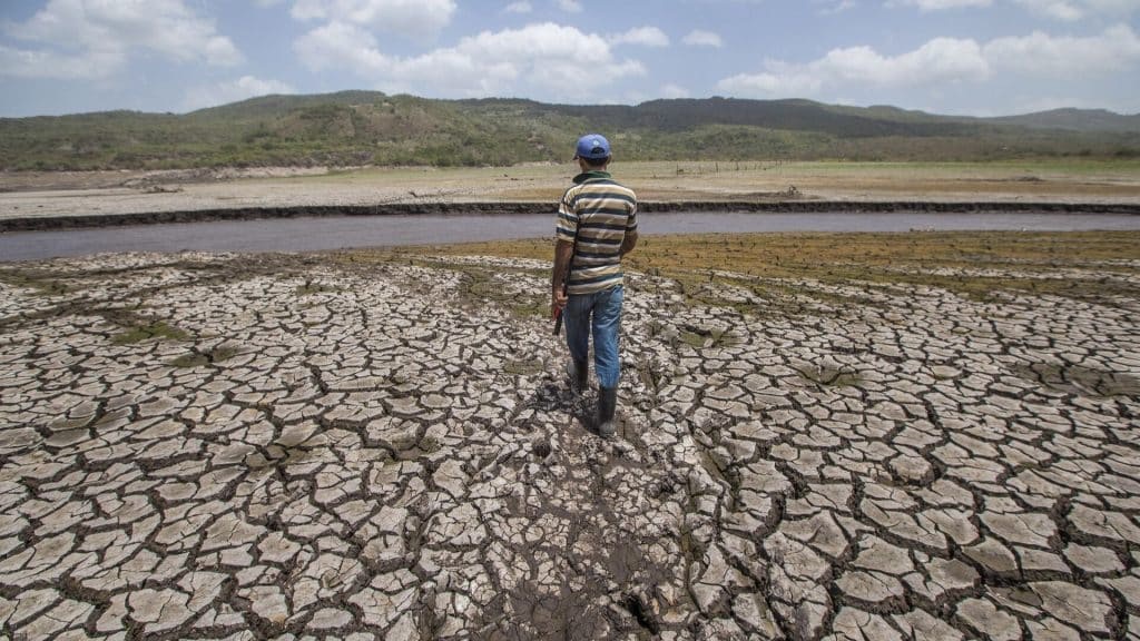 Pronostican que El Niño alcanzará una intensidad histórica en el segundo semestre del año