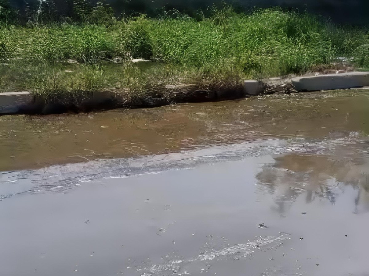Denuncia Bote de Aguas Negras en&nbsp;Barcelona