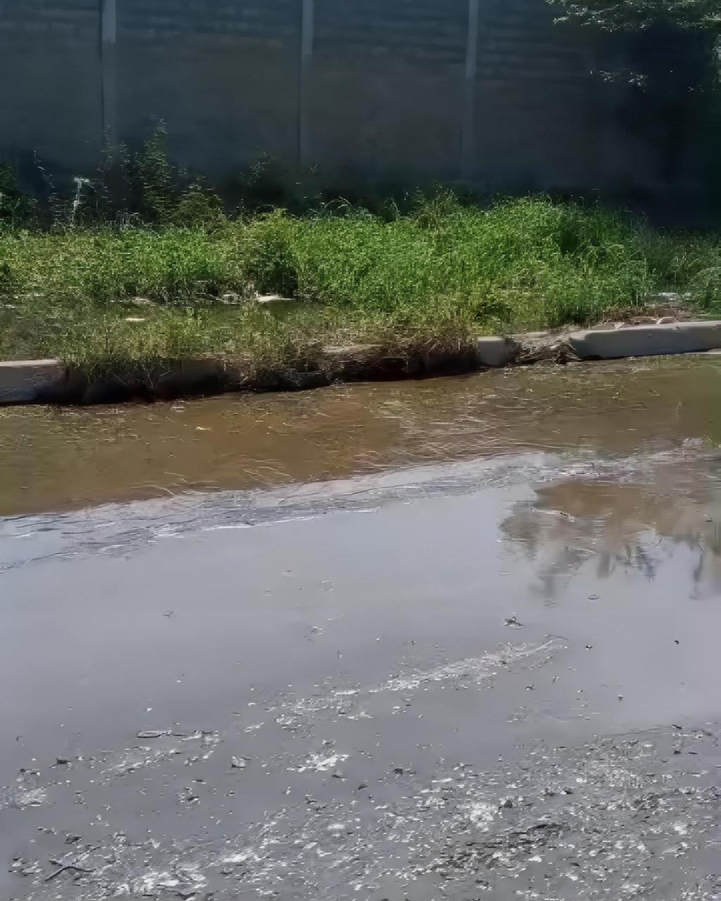 Denuncia Bote de Aguas Negras en&nbsp;Barcelona