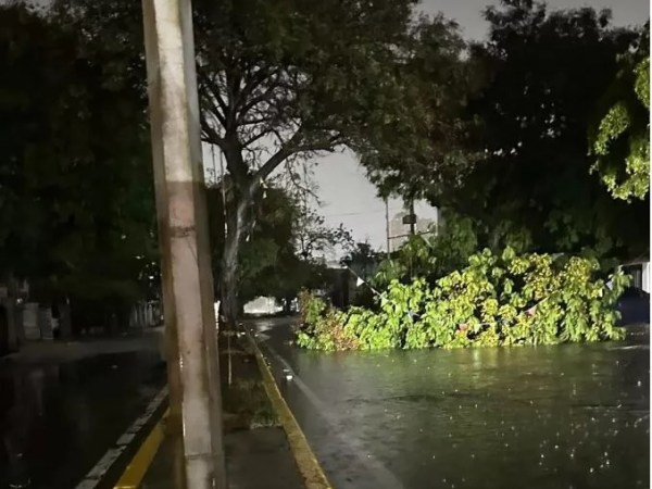 Murió un niño de cinco años tras colapso de su vivienda por fuertes lluvias en el&nbsp;Zulia&nbsp;