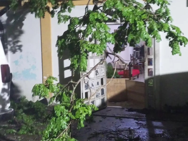 Vecinos de Cantaclaro exigen a las autoridades el corte urgente de cuatro&nbsp;árboles