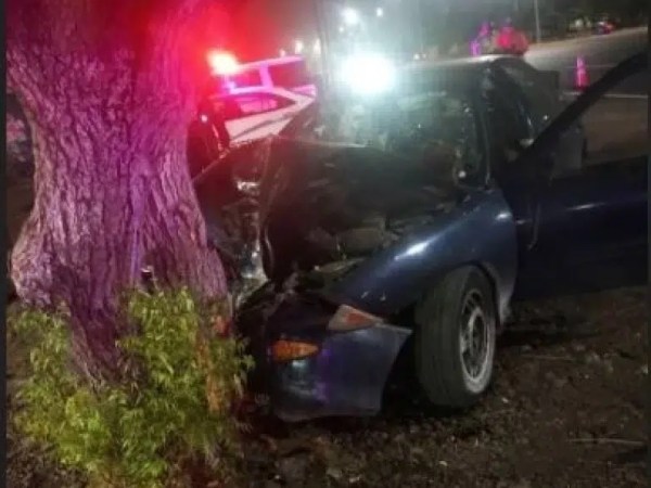 Conductor perdió la vida tras impactar con un árbol en el&nbsp;Zulia&nbsp;