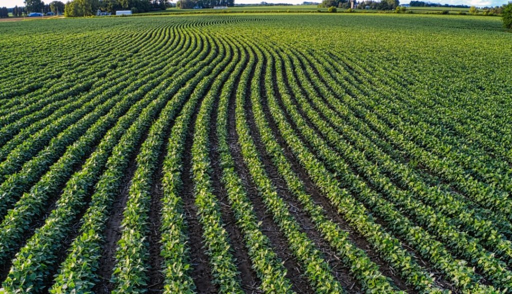 Fedeindustria Anzoátegui propone mesas de trabajo para dinamizar la producción nacional
