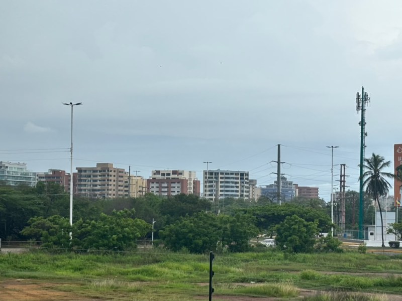 Denuncian terreno en estado de abandono en Lechería, «es un criadero de&nbsp;ratas»