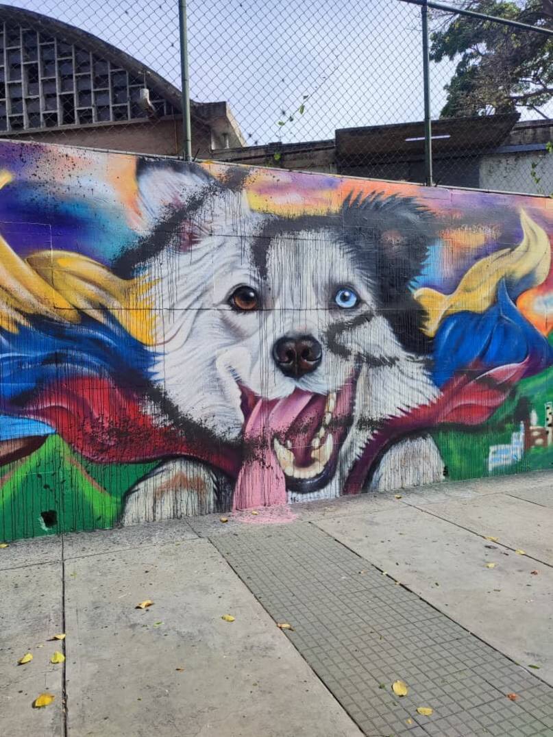 Vandalizaron por segunda vez el mural del perro rescatista Tsunami en el Paseo Los&nbsp;Ilustres