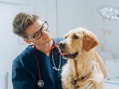 Colegio de Médicos Veterinarios del Estado Anzoátegui convoca a asamblea extraordinaria el 12 de&nbsp;agosto&nbsp;