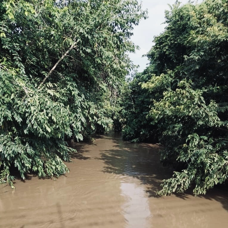 PC informó que cauce del río Aragua en sector de Naricual volvió a su nivel&nbsp;usual