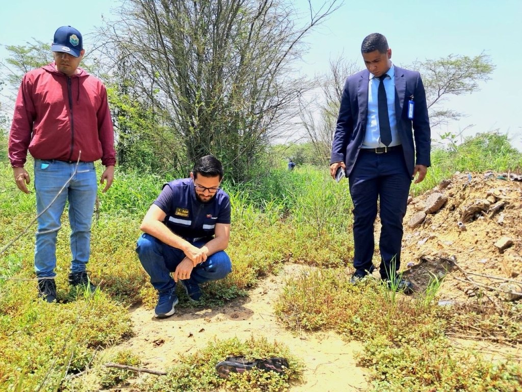 Inician investigaciones por caso de maltrato a un oso melero en&nbsp;Anzoátegui