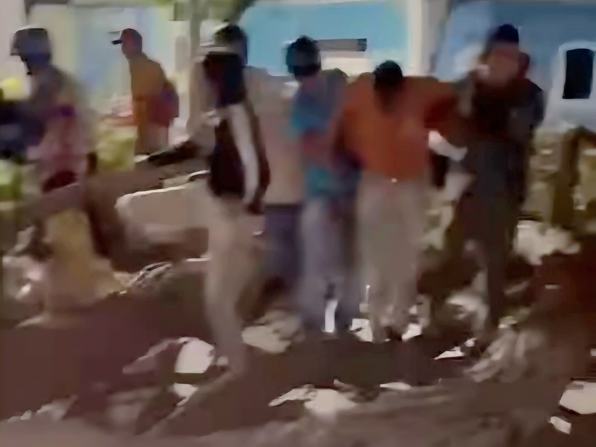 Una mujer resultó muerta y dos hombres heridos al colapsar un árbol en el Parque Ayacucho de&nbsp;Cumaná
