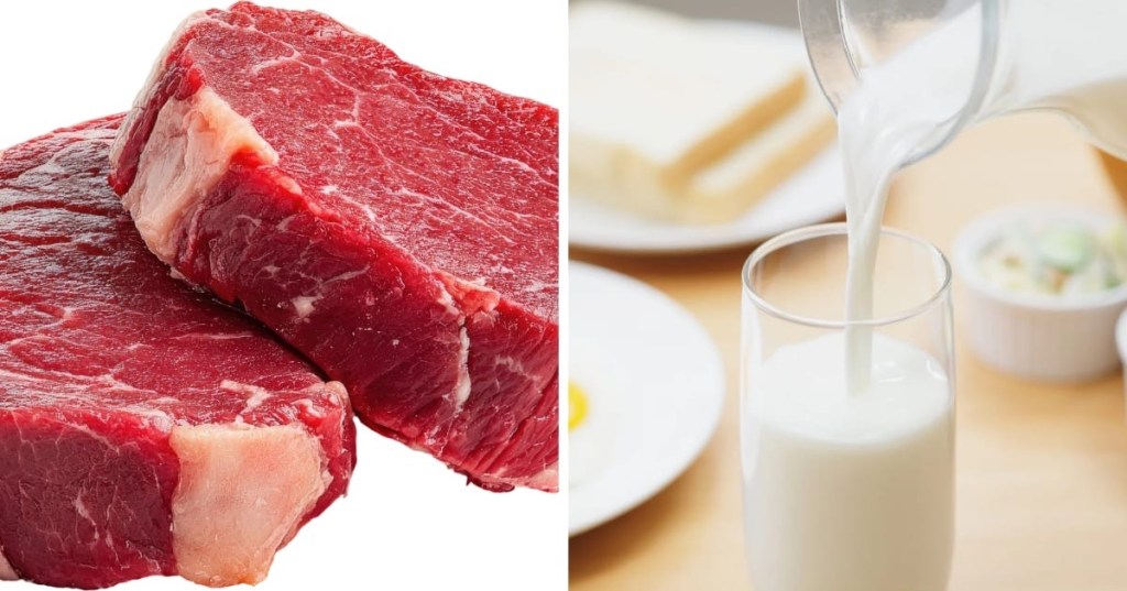 Convecar destaca liderazgo de Venezuela en producción de carne y leche