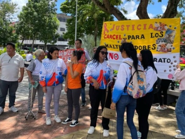Denuncian el envenenamiento masivo de perros y gatos en&nbsp;Maturín