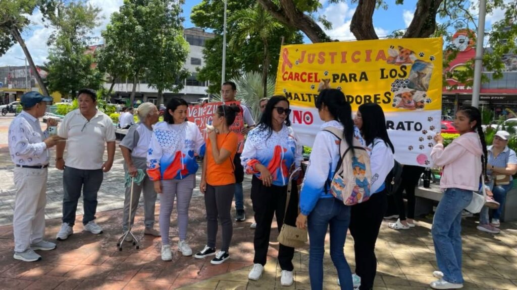 Denuncian el envenenamiento masivo de perros en&nbsp;Maturín