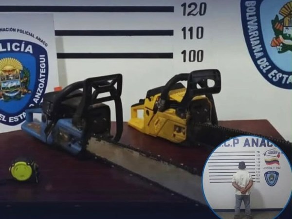 Aprehendido un hombre por tala&nbsp;ilegal&nbsp;