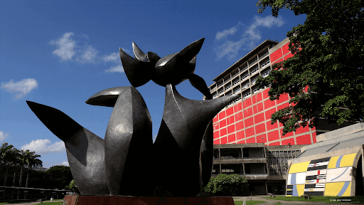 UCV culminó sus procesos de admisión 2026 con más de 9.000 cupos asignados