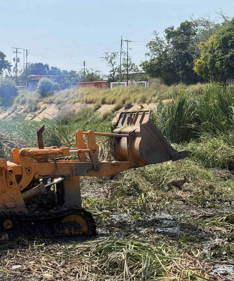Avanzan labores de limpieza y fumigación en el canal de alivio del río Neverí en&nbsp;Barcelona