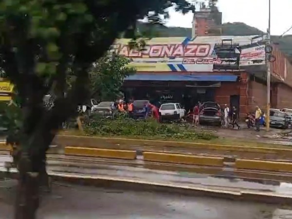 Lluvias de este jueves dejaron árboles caídos en Puerto La&nbsp;Cruz