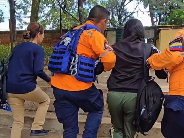 Ataque de abejas en liceo de San Cristóbal dejó cuatro adolescentes&nbsp;hospitalizados