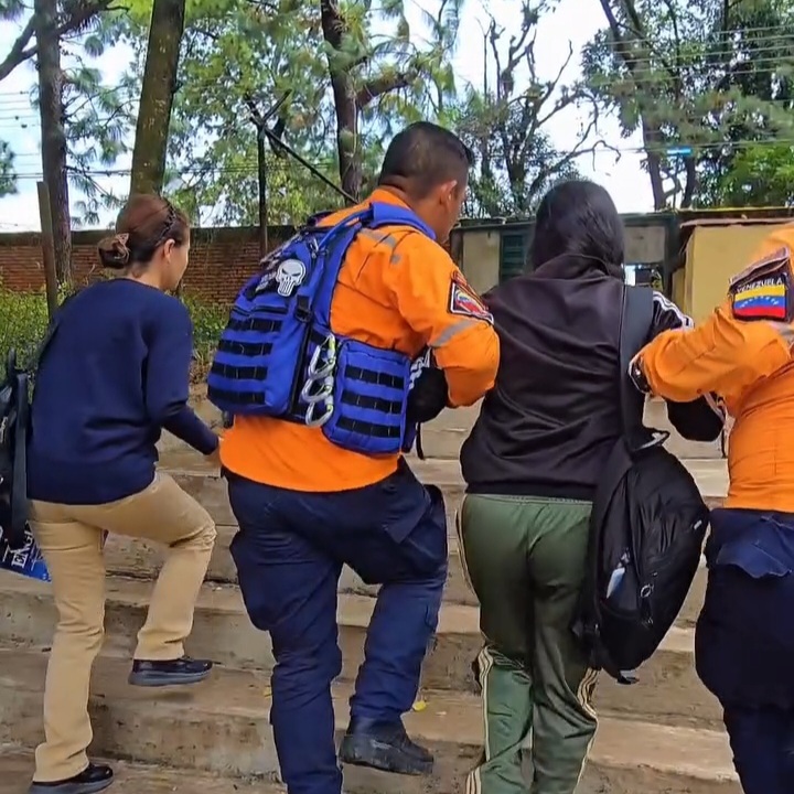 Ataque de abejas en liceo de San Cristóbal dejó cuatro adolescentes hospitalizados