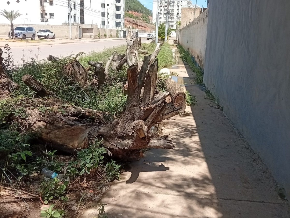 Denuncian mal estado de aceras en Avenida Guzmán&nbsp;Lander