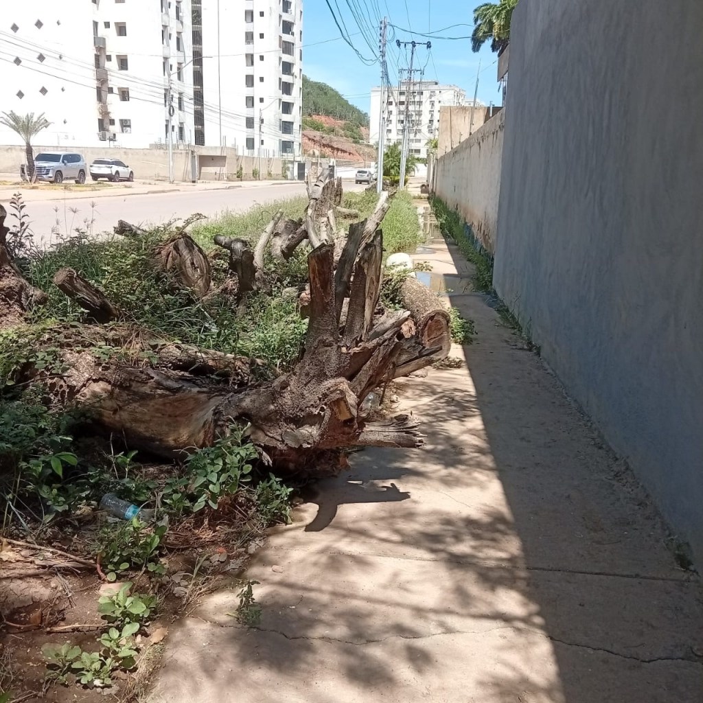 Denuncian mal estado de aceras en Avenida Guzmán&nbsp;Lander