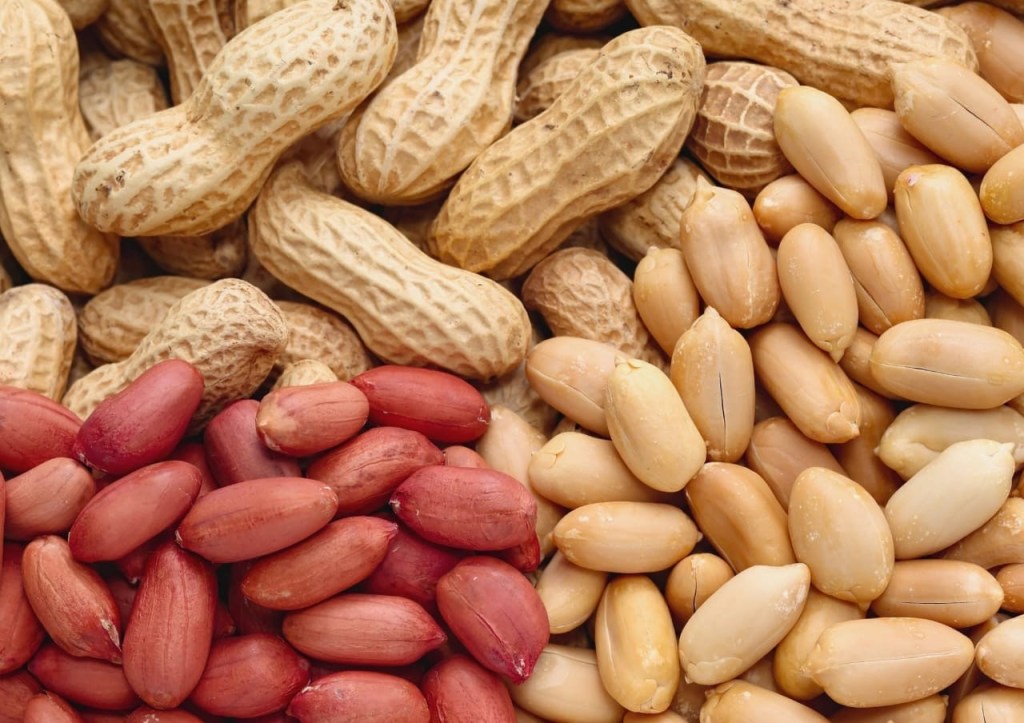 Anzoátegui lidera producción de&nbsp;maní