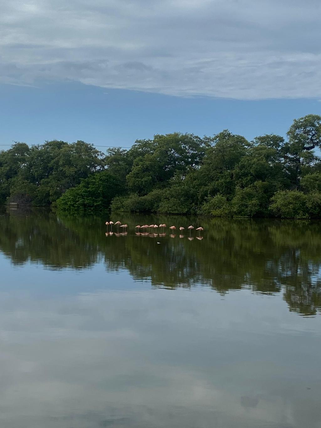 Inparques abre registro para avistamiento de aves en parques y reservas&nbsp;naturales