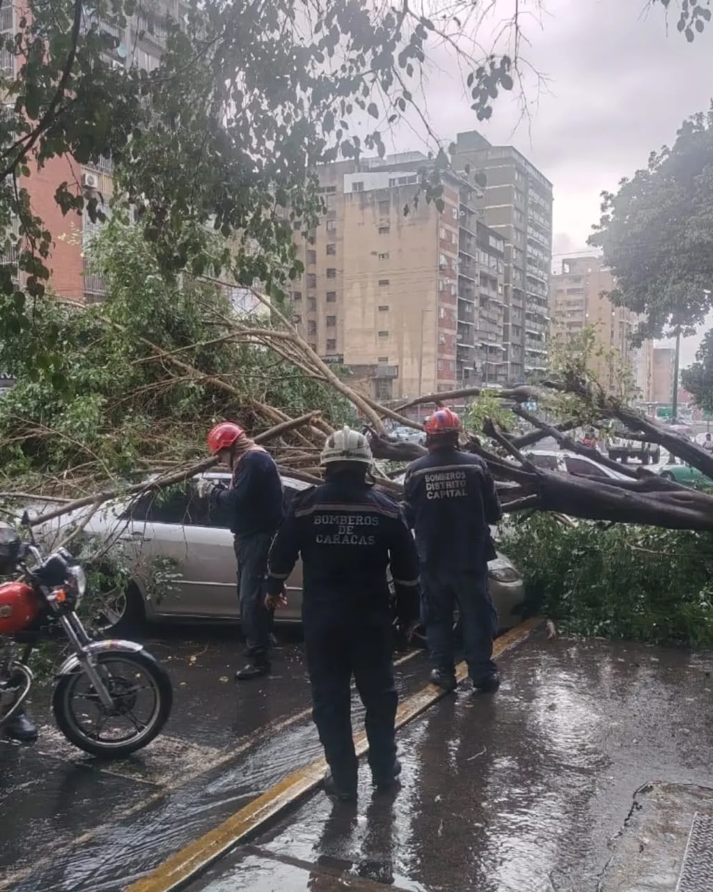 Lluvias en Caracas dejaron anegaciones y caída de árboles este sábado 10OCT