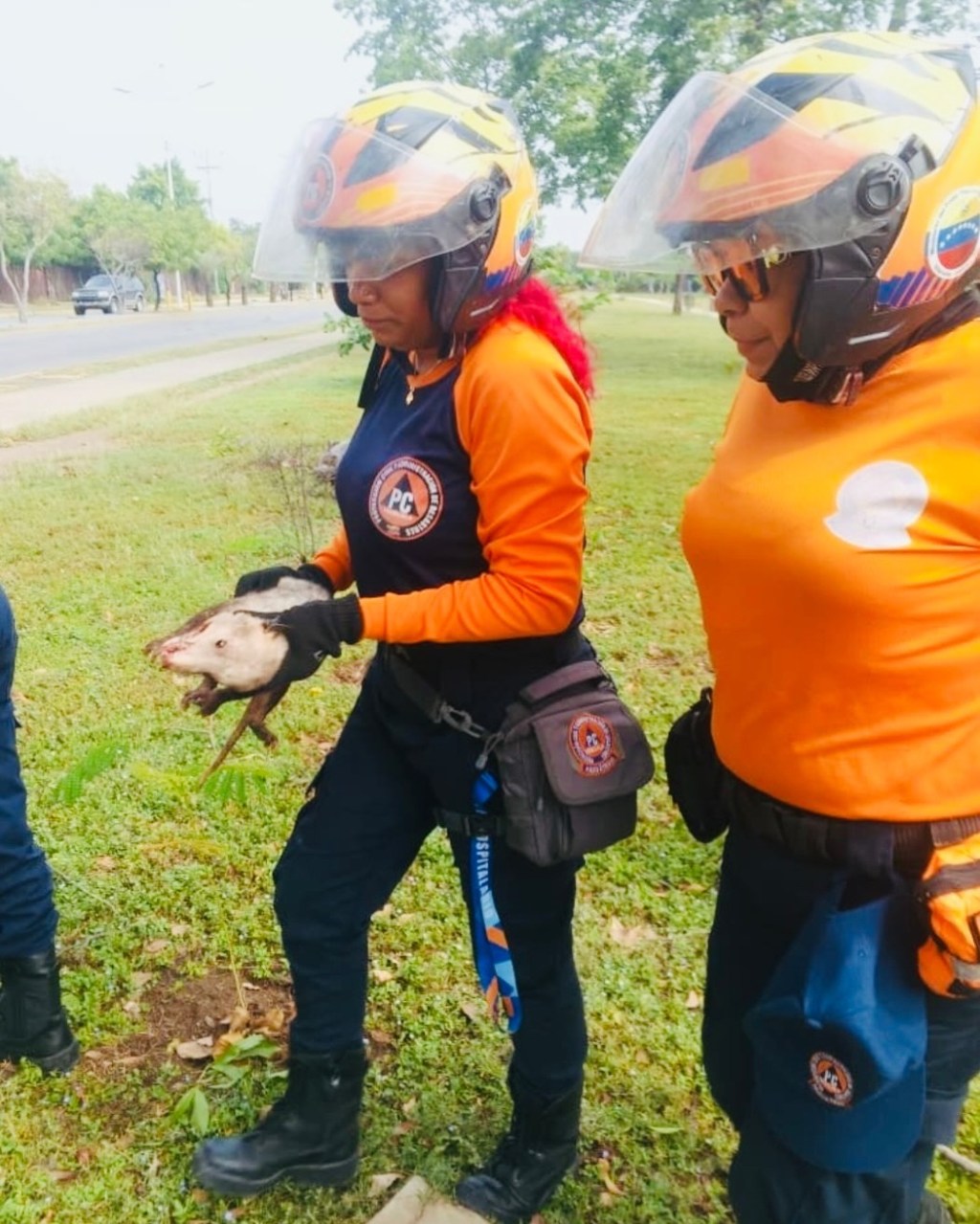 Rescataron a un rabipelado en Puerto La&nbsp;Cruz