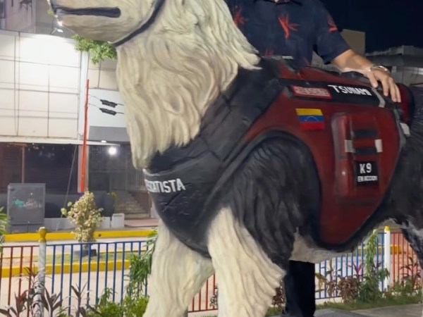 Josué Benjamín inmortalizó a Tsunami, el perro rescatista&nbsp;