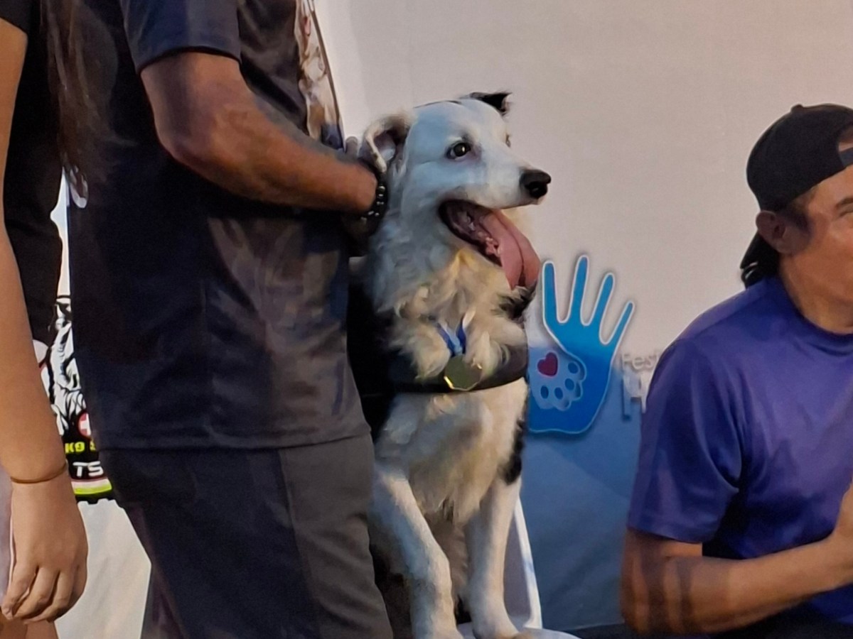 Rindieron homenaje en Lechería a Tsunami,el perro&nbsp;rescatista