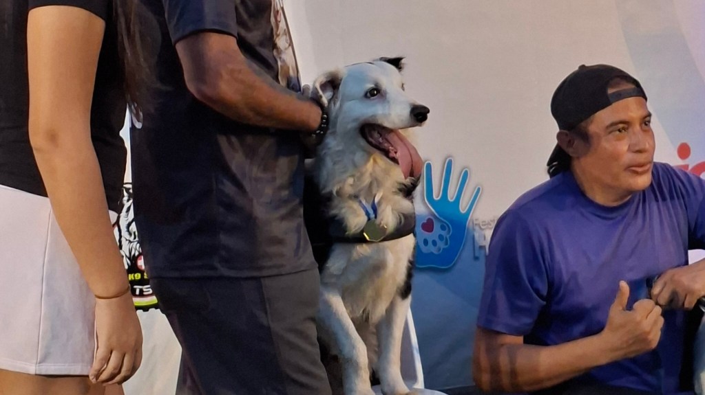 Rindieron homenaje en Lechería a Tsunami,el perro rescatista